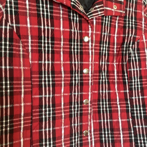 EUC! Adorable Christmas Vest SIZE XL - Picture 3 of 7